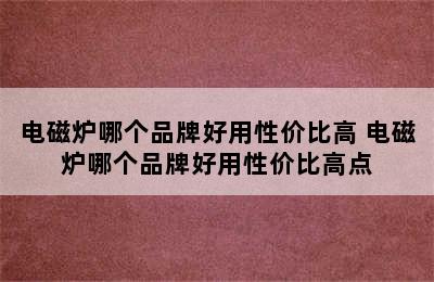 电磁炉哪个品牌好用性价比高 电磁炉哪个品牌好用性价比高点